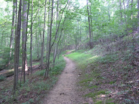 After crossing the bridge follow the trail to the left.