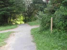 From the Twin Branches trail turn right onto the W&OD horse trail.  There is a CCT marker here.