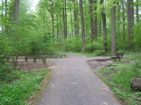 Turn left at the next intersecting asphalt trail.