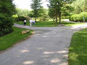 Stay to the left at the next trail intersection.