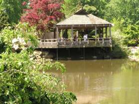 A Japanese Tea House can be seen on an island in the pond to the right. Notice the large fish swimming near the surface of the pond.