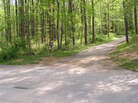 Continue on the asphalt trail on the other side of the access road.