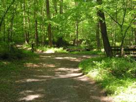 A trail intersects from the right coming from the horse stables.  Continue straight on the present trail.