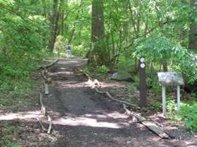 At the end of the parking lot take the natural surface path on the left side.  The trail marker should point to Pine Lake.