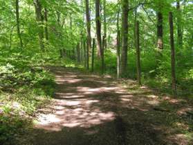 The trail follows the fence marking Brooside Gardens.