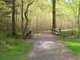 After passing the lake the service road crosses a bridge over a stream feeding the lake.